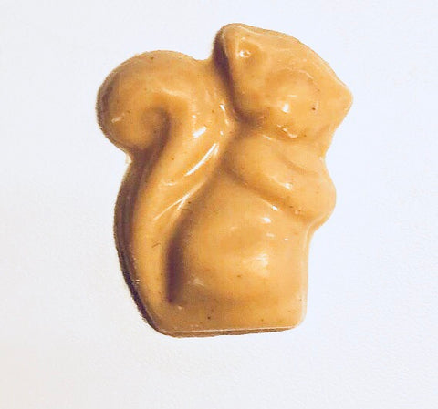 Squirrel Confections (8)
